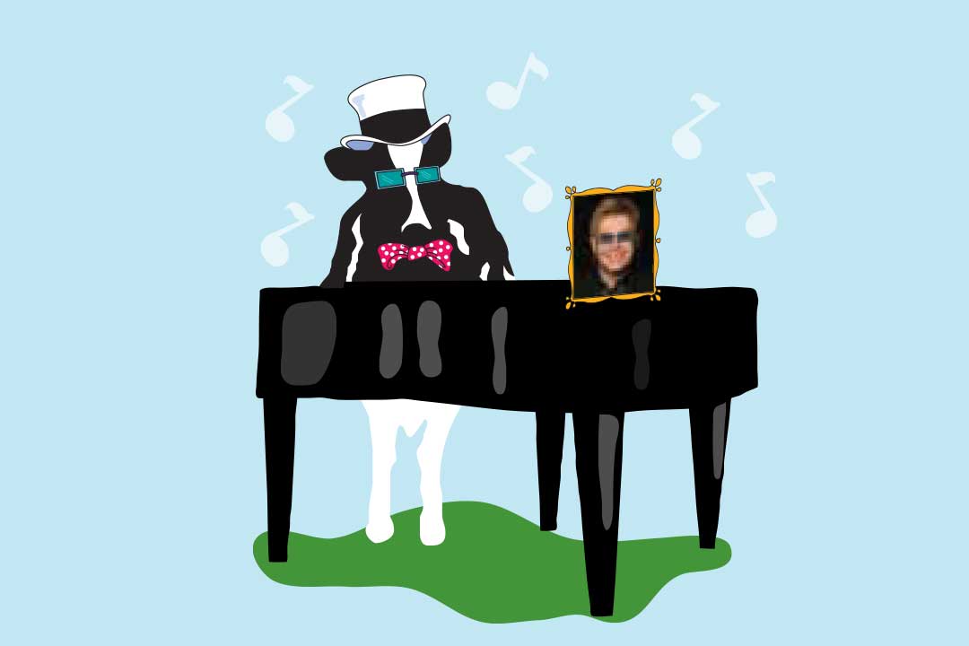 Woodie, a vaca, sentada ao piano, e uma fotografia de Elton John
